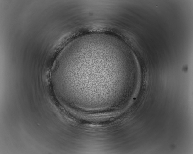 X0000116670503200912291701