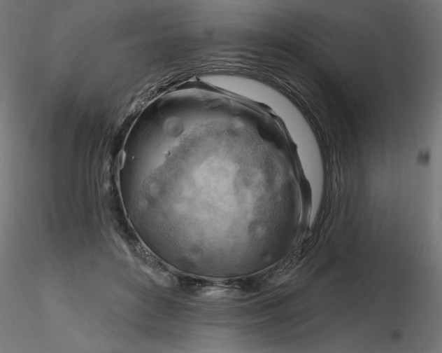 X0000116670504200912291701