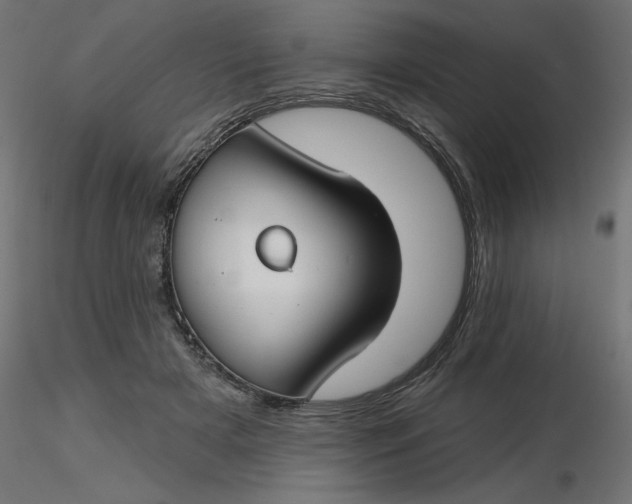 X0000116670505200912291701