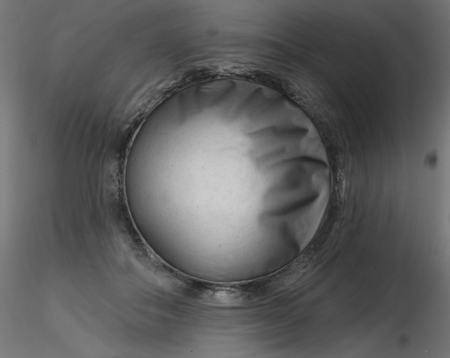 X0000116670506200912291701