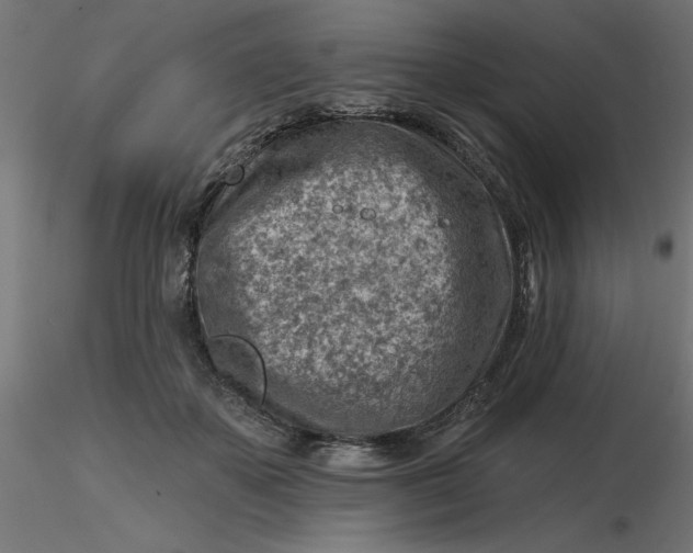 X0000116670507200912291701