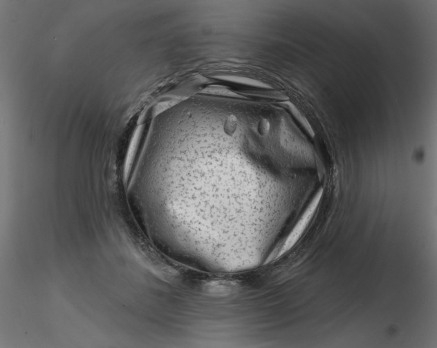 X0000116670508200912291701