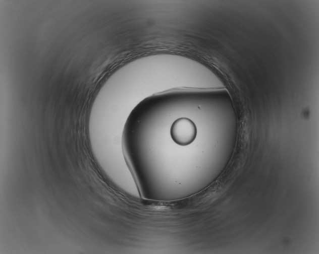 X0000116670509200912291701