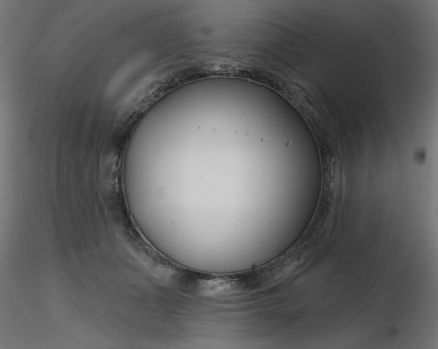 X0000116670511200912291701