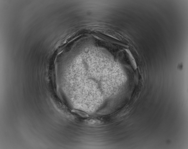 X0000116670512200912291701