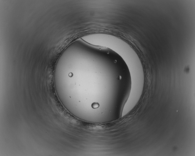 X0000116670513200912291701