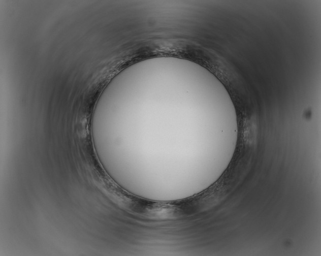 X0000116670514200912291701