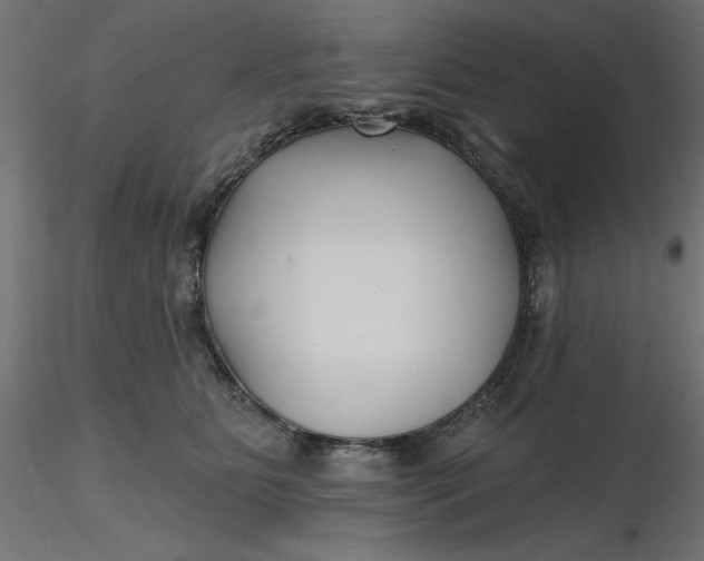 X0000116670515200912291701