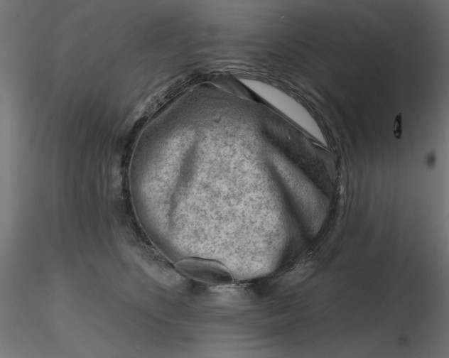 X0000116670516200912291701