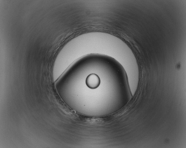 X0000116670517200912291701