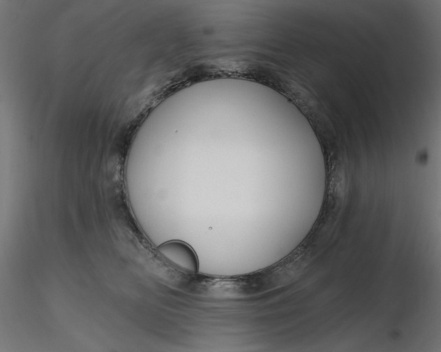 X0000116670518200912291701