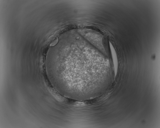 X0000116670519200912291701