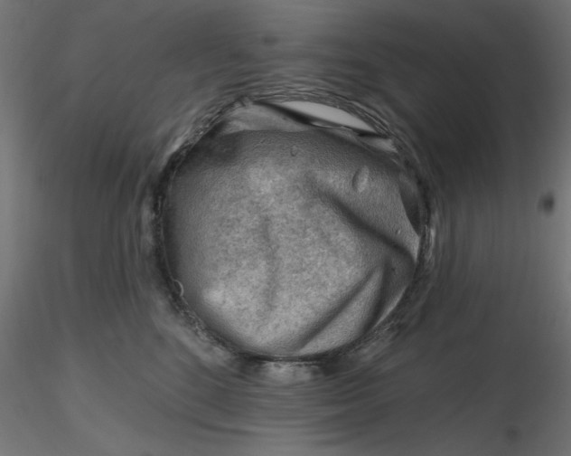 X0000116670520200912291701