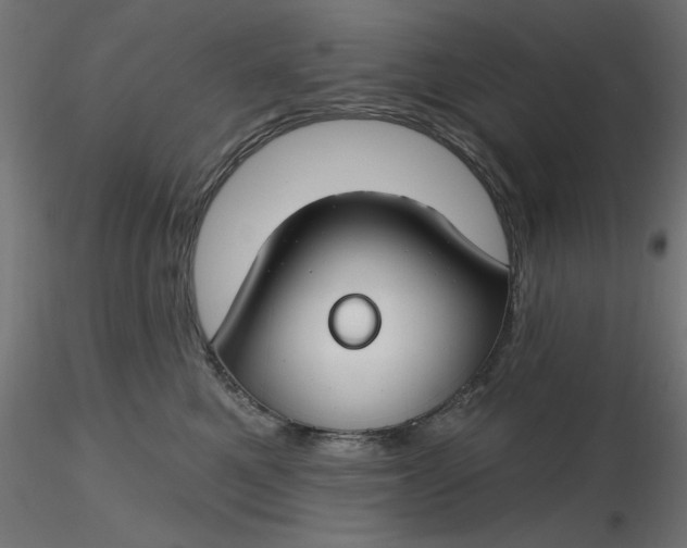 X0000116670521200912291701