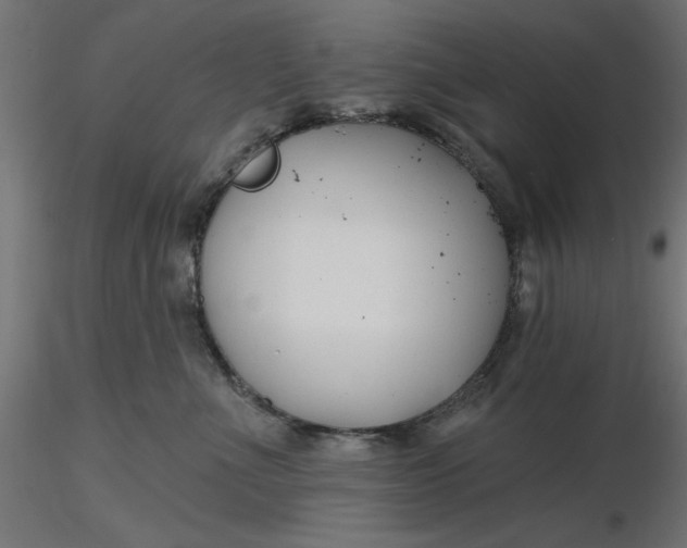 X0000116670523200912291701