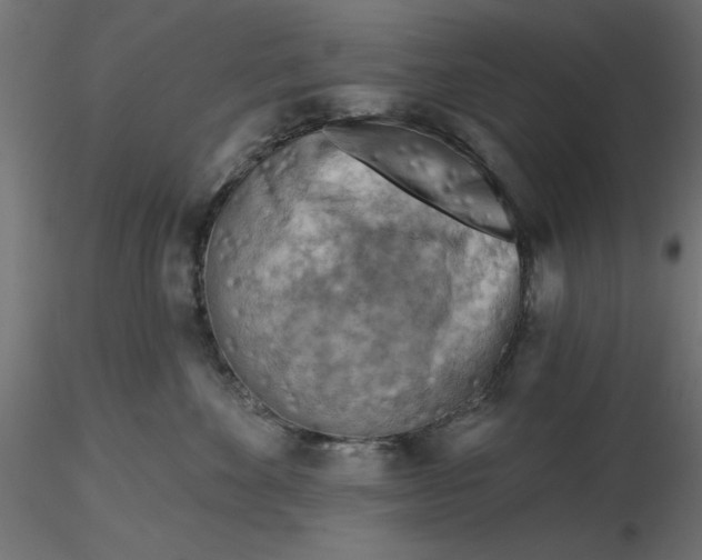 X0000116670524200912291701