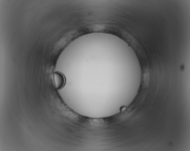 X0000116670525200912291701