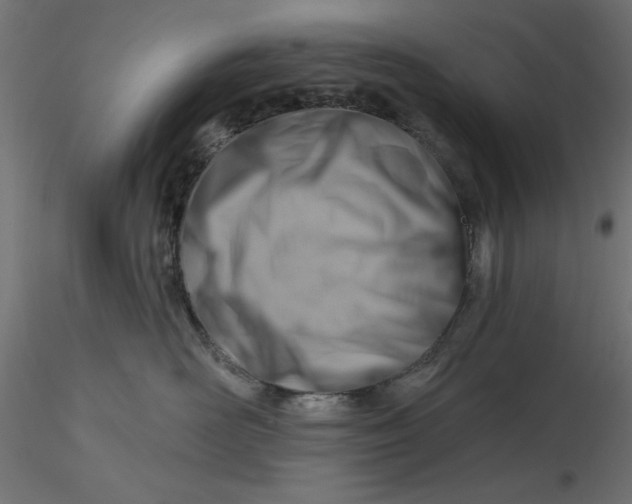 X0000116670526200912291701