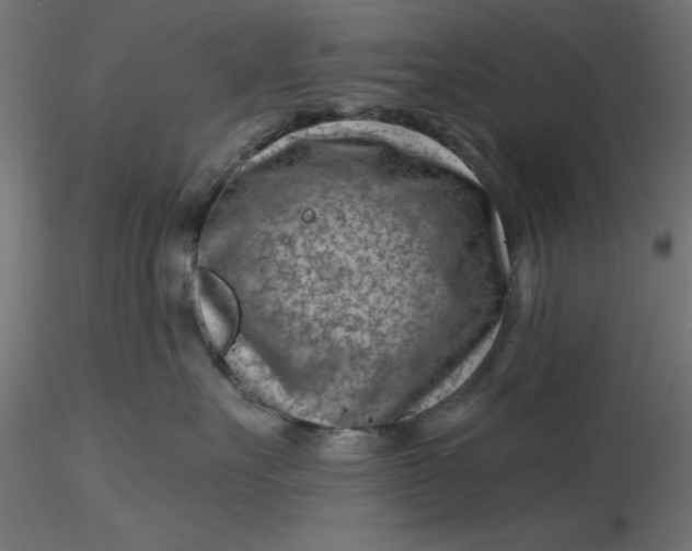 X0000116670527200912291701