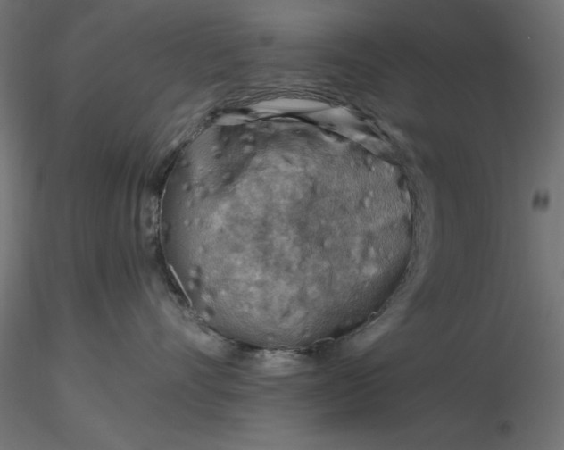 X0000116670528200912291701