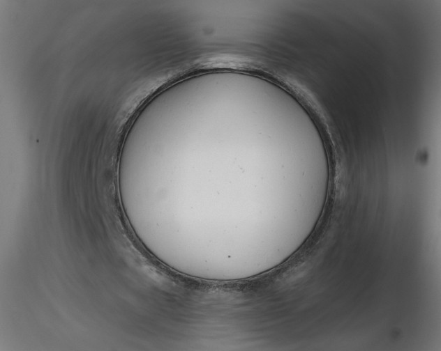 X0000116670529200912291700