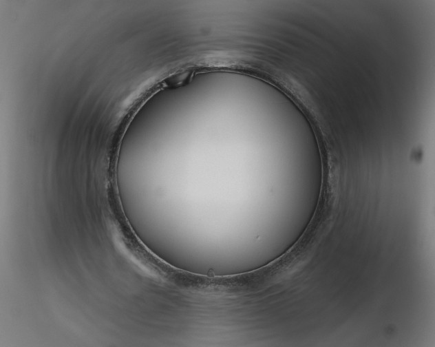 X0000116670530200912291700