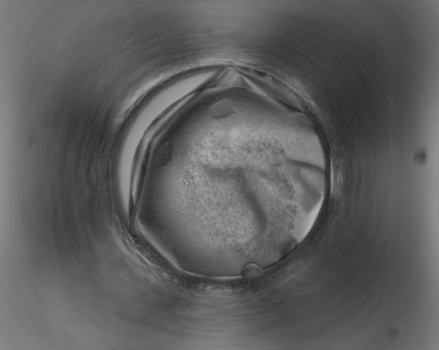 X0000116670531200912291700