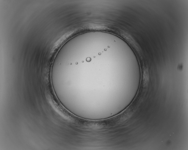 X0000116670533200912291700