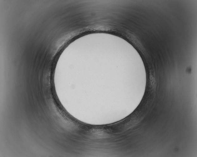 X0000116670534200912291700