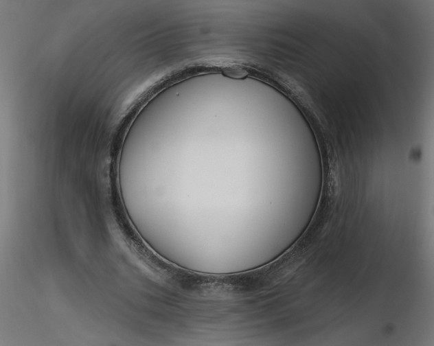 X0000116670535200912291700