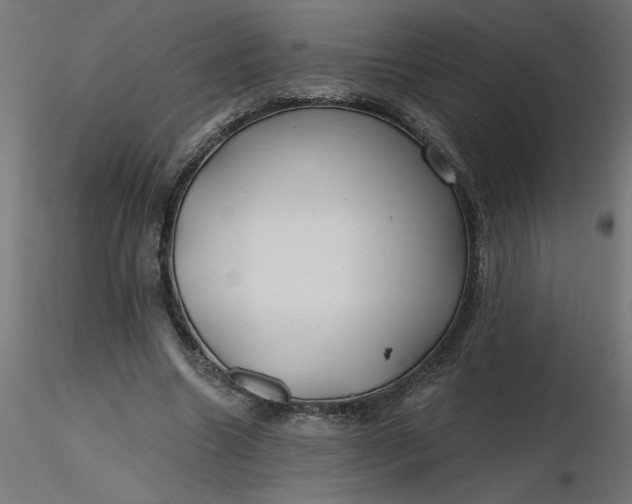 X0000116670538200912291700