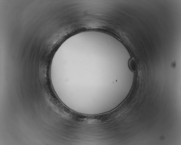 X0000116670539200912291700