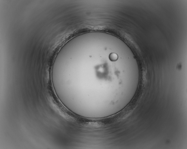 X0000116670541200912291700