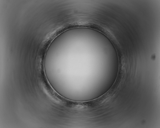 X0000116670542200912291700