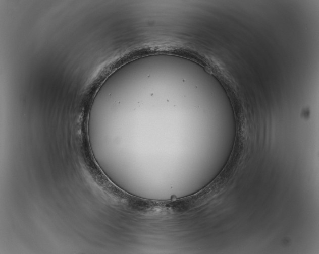 X0000116670543200912291700