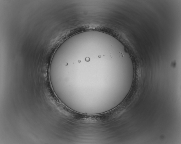 X0000116670545200912291700