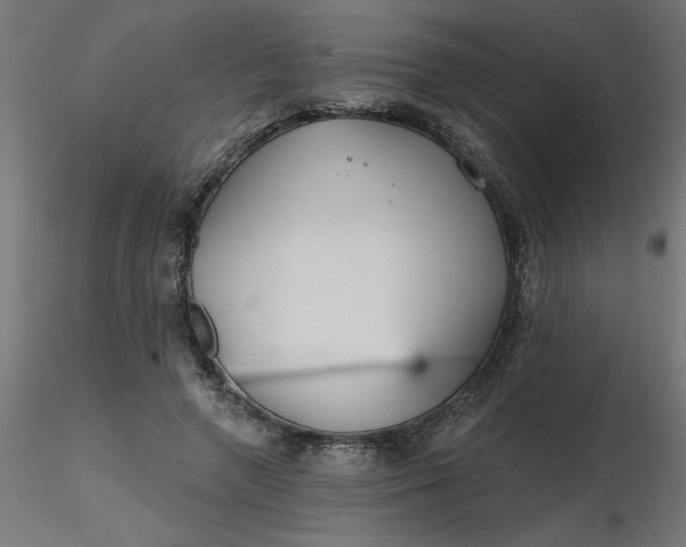 X0000116670546200912291700