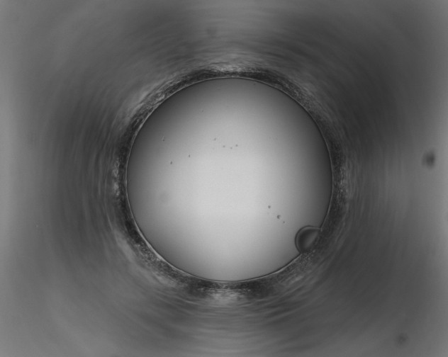 X0000116670547200912291700