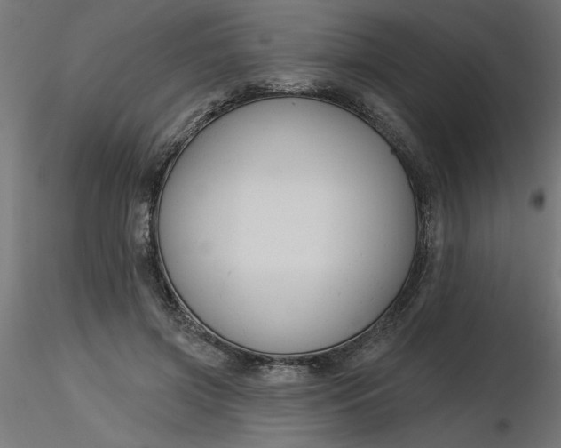 X0000116670549200912291700