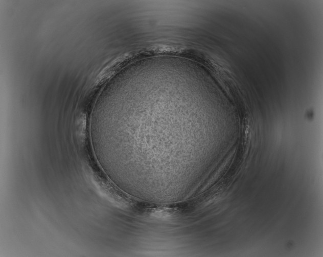 X0000116670550200912291700