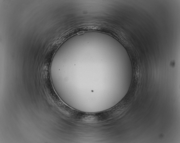 X0000116670551200912291700