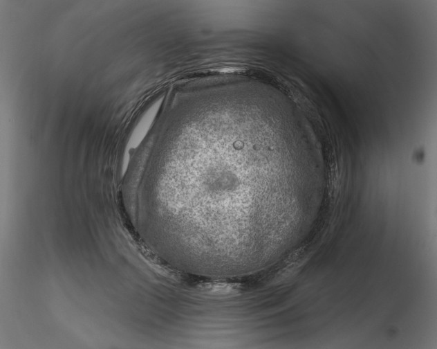 X0000116670553200912291700