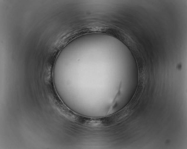 X0000116670554200912291700