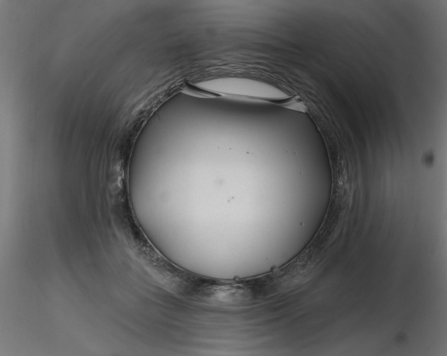 X0000116670555200912291700