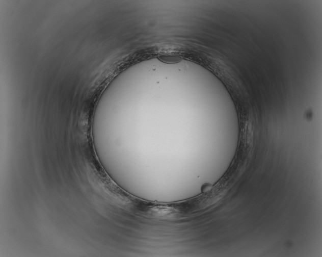 X0000116670557200912291700