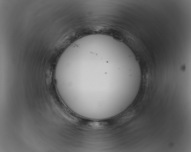 X0000116670558200912291700