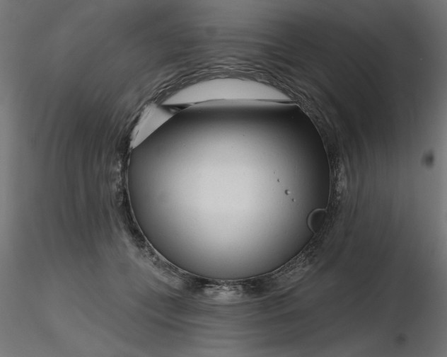 X0000116670559200912291700