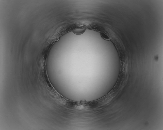 X0000116670561200912291700