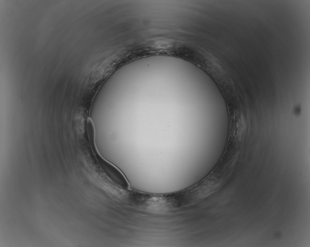 X0000116670562200912291700