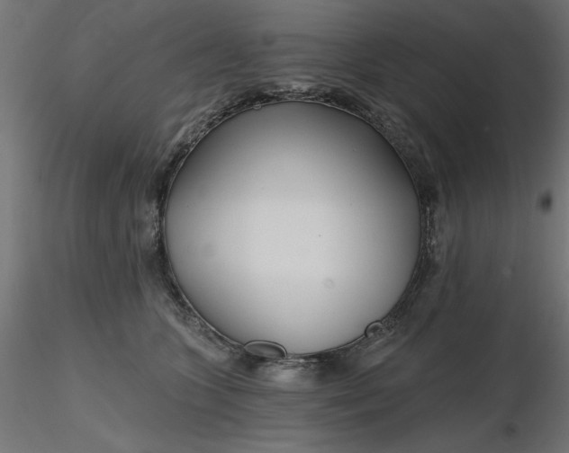 X0000116670563200912291701